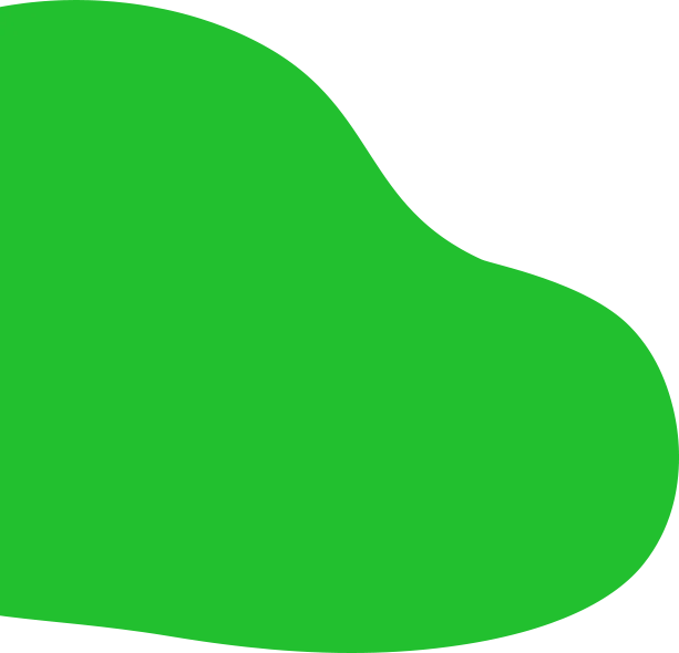 /image/DB03_shape01.png